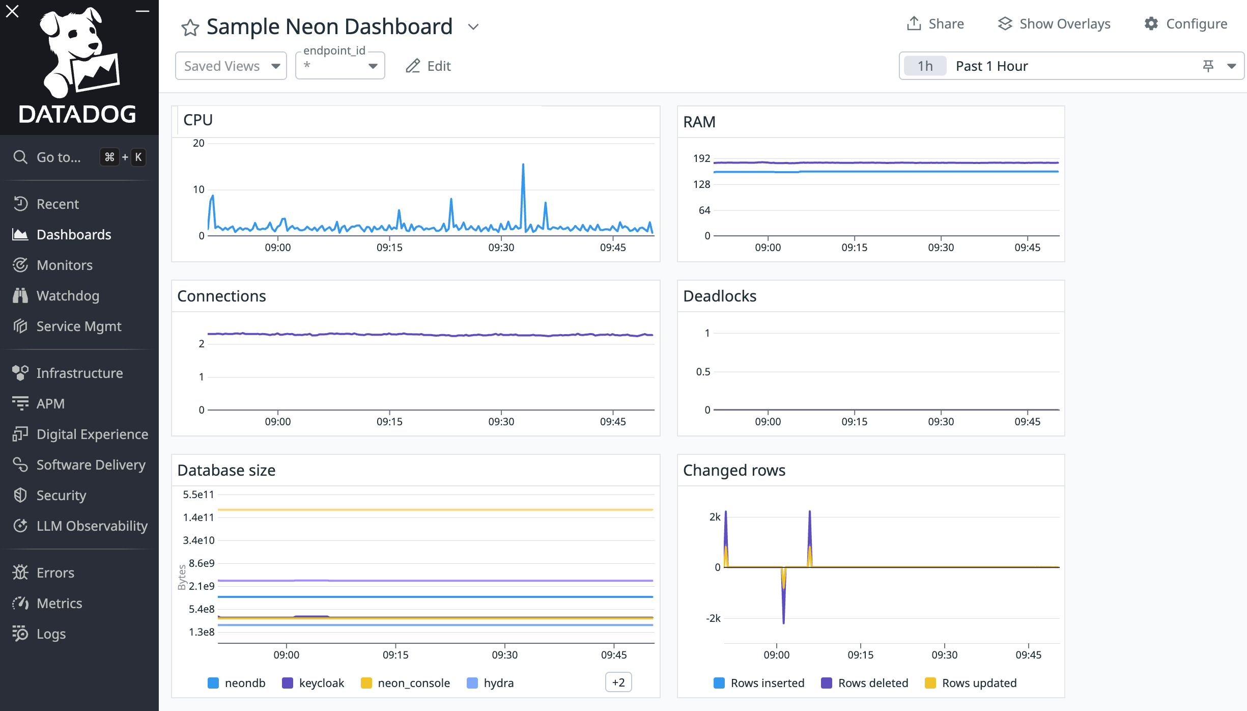 neon dashboard in datadog
